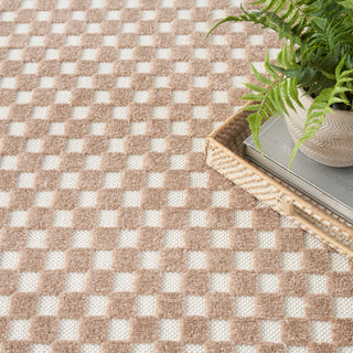 The Rug Corner Nourison Home Care Free CAF02 BROWN Area Rugs  