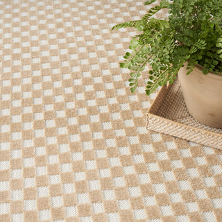 Nourison Home - Care Free Taupe Area Rug CAF02