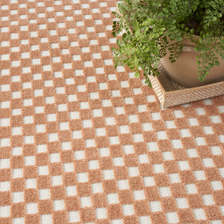 The Rug Corner Nourison Home Care Free CAF02 COPPR Area Rugs  