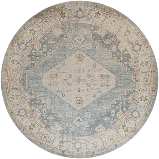 The Rug Corner Nourison Home Astra Machine Washable ASW11 SILBL Area Rugs  