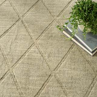 Nourison Home - Wool Haven Sage Area Rug WOH01