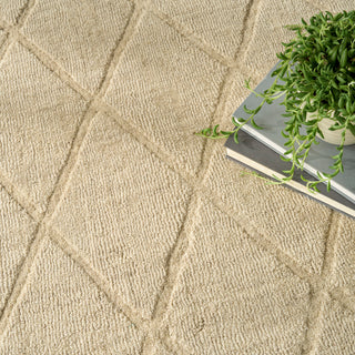 Nourison Home - Wool Haven Beige Area Rug WOH01