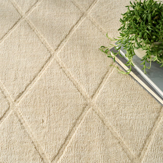 The Rug Corner Nourison Home Wool Haven WOH01 IVORY Area Rugs  
