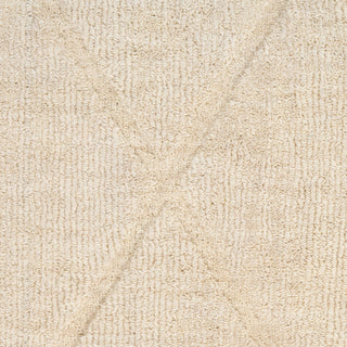 The Rug Corner Nourison Home Wool Haven WOH01 IVORY Area Rugs  
