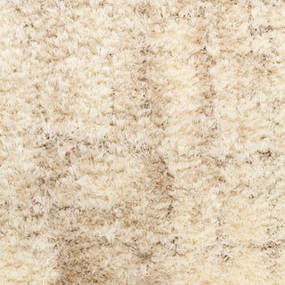 Nourison Home - Dreamy Shag Ivory/Beige Area Rug DRS01