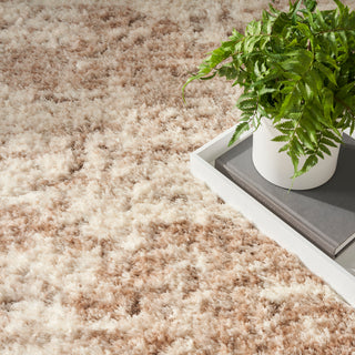 The Rug Corner Nourison Home Dreamy Shag DRS10 IVDBG Area Rugs  