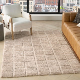 The Rug Corner DKNY West End Ave WTE01 BEIGE Area Rugs  