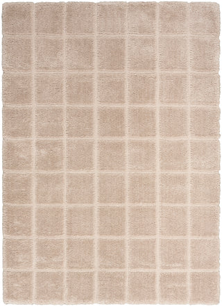 The Rug Corner DKNY West End Ave WTE01 BEIGE Area Rugs  