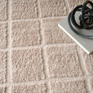 The Rug Corner DKNY West End Ave WTE01 BEIGE Area Rugs  