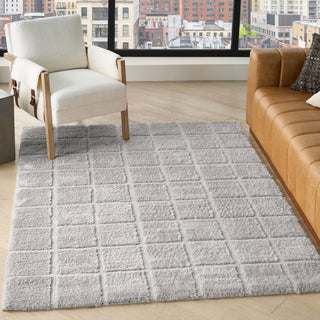 West End Ave WTE01 GREY Area Rugs