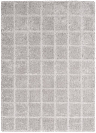 West End Ave WTE01 GREY Area Rugs