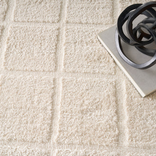 West End Ave WTE01 IVORY Area Rugs