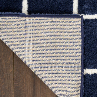 West End Ave WTE01 NAVIV Area Rugs