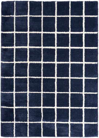 West End Ave WTE01 NAVIV Area Rugs