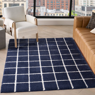 West End Ave WTE01 NAVIV Area Rugs