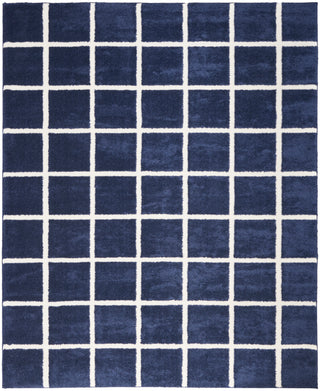 West End Ave WTE01 NAVIV Area Rugs