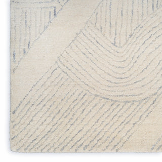 The Rug Corner DKNY Pure Patterns PRN01 IVGRY Area Rugs  