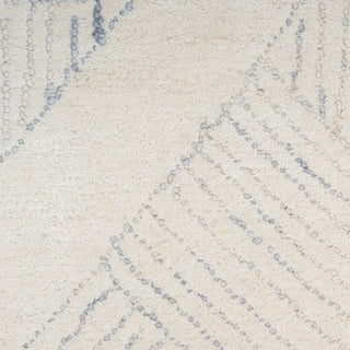 The Rug Corner DKNY Pure Patterns PRN01 IVGRY Area Rugs  