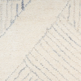 The Rug Corner DKNY Pure Patterns PRN01 IVGRY Area Rugs  