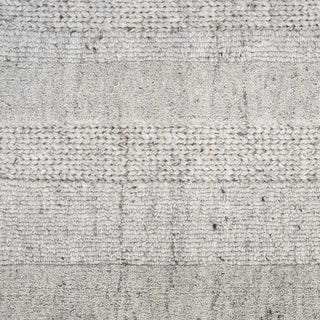 The Rug Corner DKNY Pure Multi Weave MTW01 GREY Area Rugs  