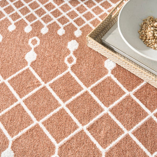 The Rug Corner Nourison Home Astra Machine Washable ASW10 COPPR Area Rugs  