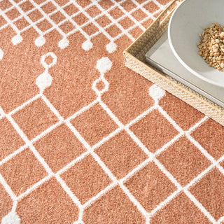 The Rug Corner Nourison Home Astra Machine Washable ASW10 COPPR Area Rugs  
