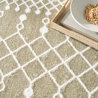 The Rug Corner Nourison Home Astra Machine Washable ASW10 SAGE Area Rugs  