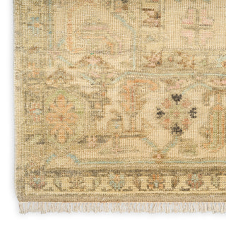 Nourison Home - Heritage Vine Beige Area Rug HTV01