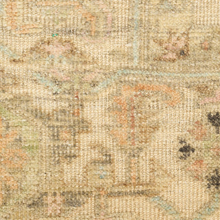 Nourison Home - Heritage Vine Beige Area Rug HTV01