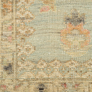 Nourison Home - Heritage Vine Light Blue Area Rug HTV02