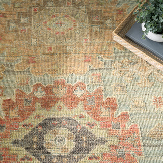Nourison Home - Heritage Vine Light Blue Area Rug HTV02