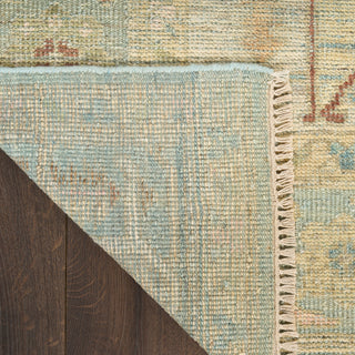 The Rug Corner Nourison Home Heritage Vine HTV03 LTBLU Area Rugs  