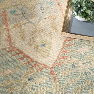 The Rug Corner Nourison Home Heritage Vine HTV03 LTBLU Area Rugs  