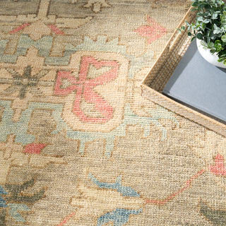 Nourison Home - Heritage Vine Charcoal Area Rug HTV04