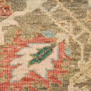 The Rug Corner Nourison Home Heritage Vine HTV05 CHARC Area Rugs  
