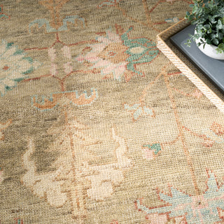 The Rug Corner Nourison Home Heritage Vine HTV05 CHARC Area Rugs  