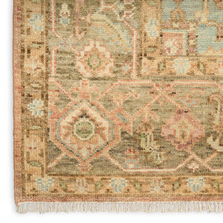 The Rug Corner Nourison Home Heritage Vine HTV06 RUST Area Rugs  