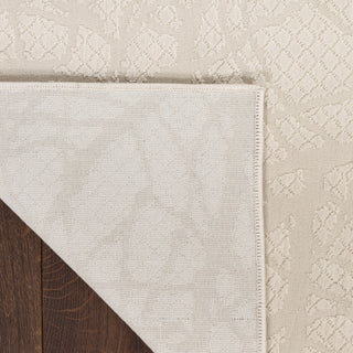 The Rug Corner Nourison Home Desire DSR09 BEIGE Area Rugs  