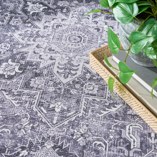 The Rug Corner Nourison Home Nourison Washables NWB15 CHAGY Area Rugs  