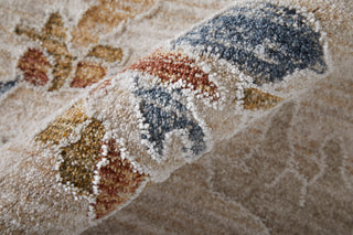 The Rug Corner Feizy Pasha Transitional Floral & Botanical - Ivory/Blue/Gold  