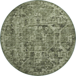 The Rug Corner Dalyn Aberdeen AB2 Cactus  Aberdeen AB2 Cactus