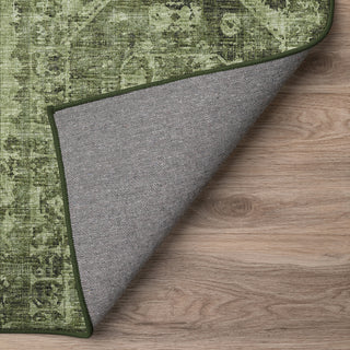 The Rug Corner Dalyn Aberdeen AB2 Cactus  Aberdeen AB2 Cactus