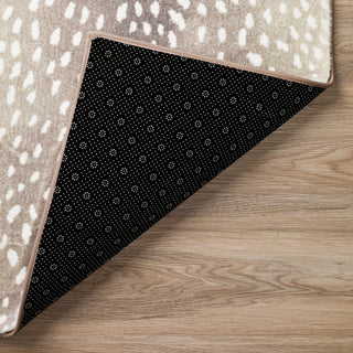 The Rug Corner Dalyn Akina AK3 Stone  Akina AK3 Stone
