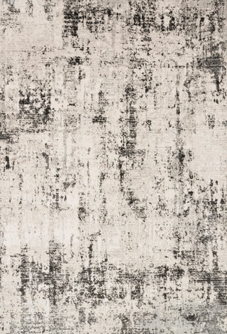 The Rug Corner Loloi II Alchemy Silver / Graphite  