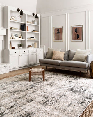 The Rug Corner Loloi II Alchemy Silver / Graphite  