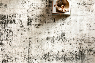 The Rug Corner Loloi II Alchemy Silver / Graphite  