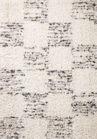 The Rug Corner Angela Rose x Loloi Amira Ivory / Granite  