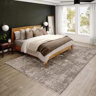 lifestyle The Rug Corner Dalyn Antalya AY3 Silver  Antalya AY3 Silver