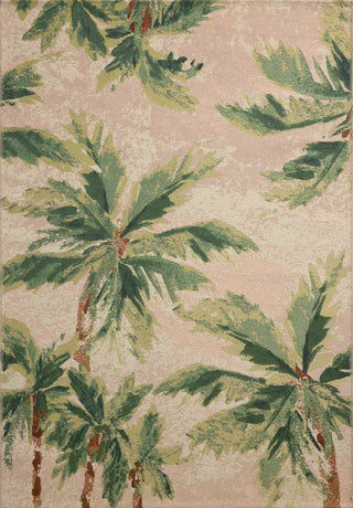 The Rug Corner Loloi II Botanical Clay / Green  