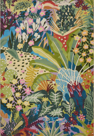 The Rug Corner Loloi II Botanical Multi  
